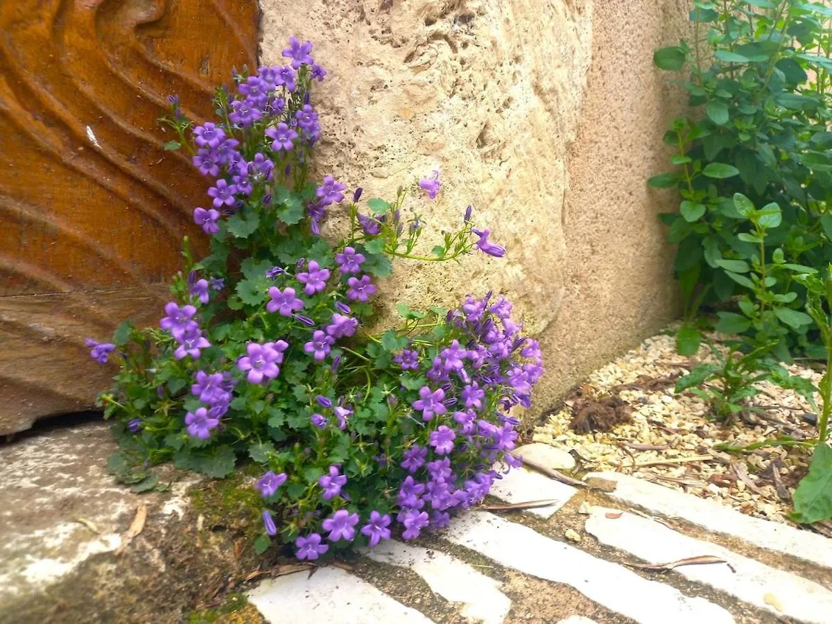 Villa Le Clos D'Ondres-Spa Sarrant